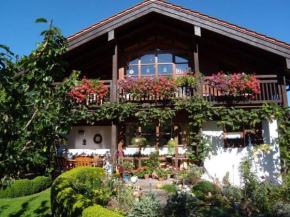 Haus Fellner****